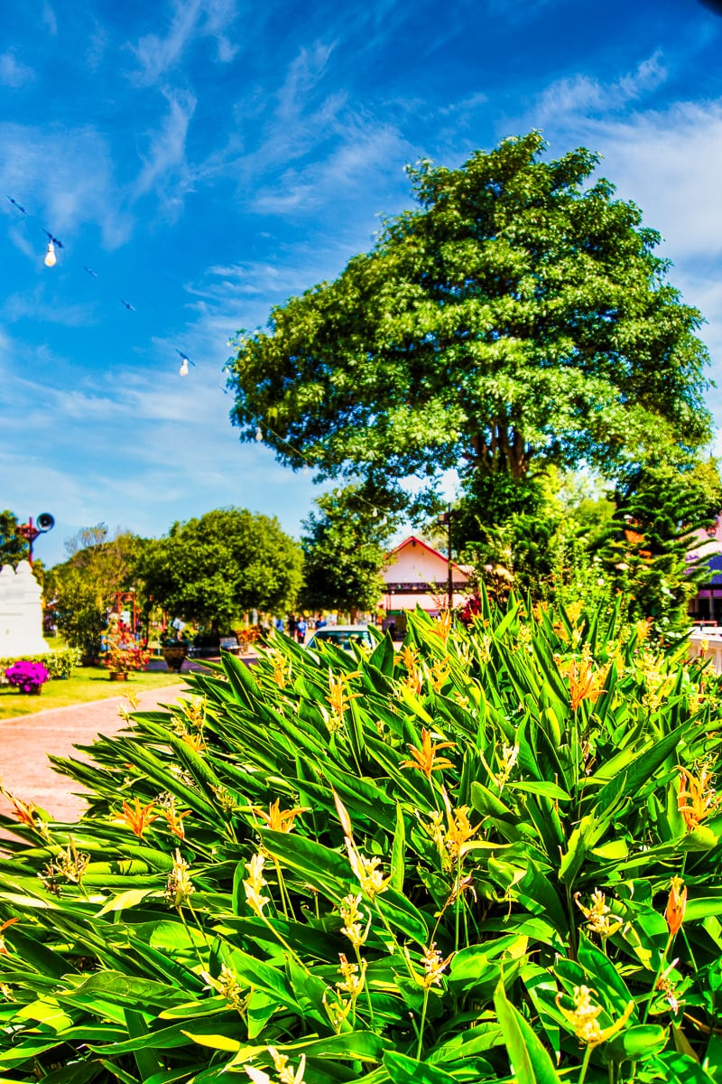 Ayutthaya 20
