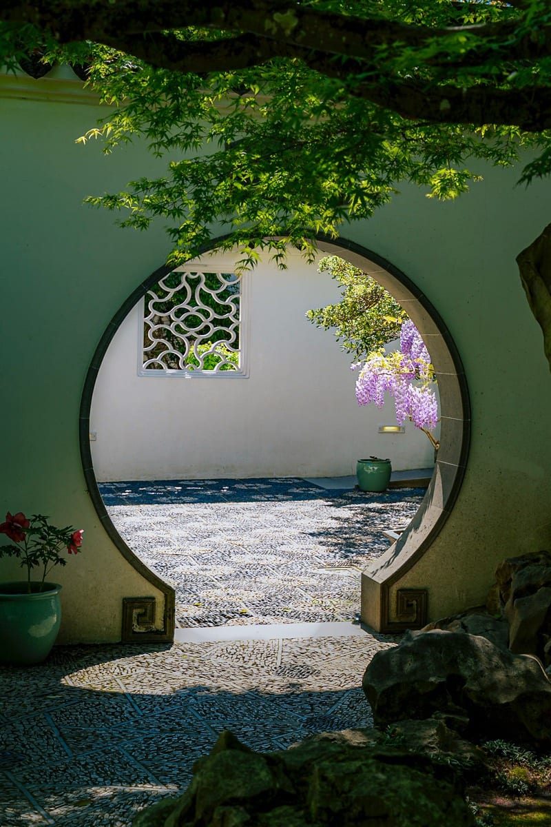 Chinese Tea Garden 10