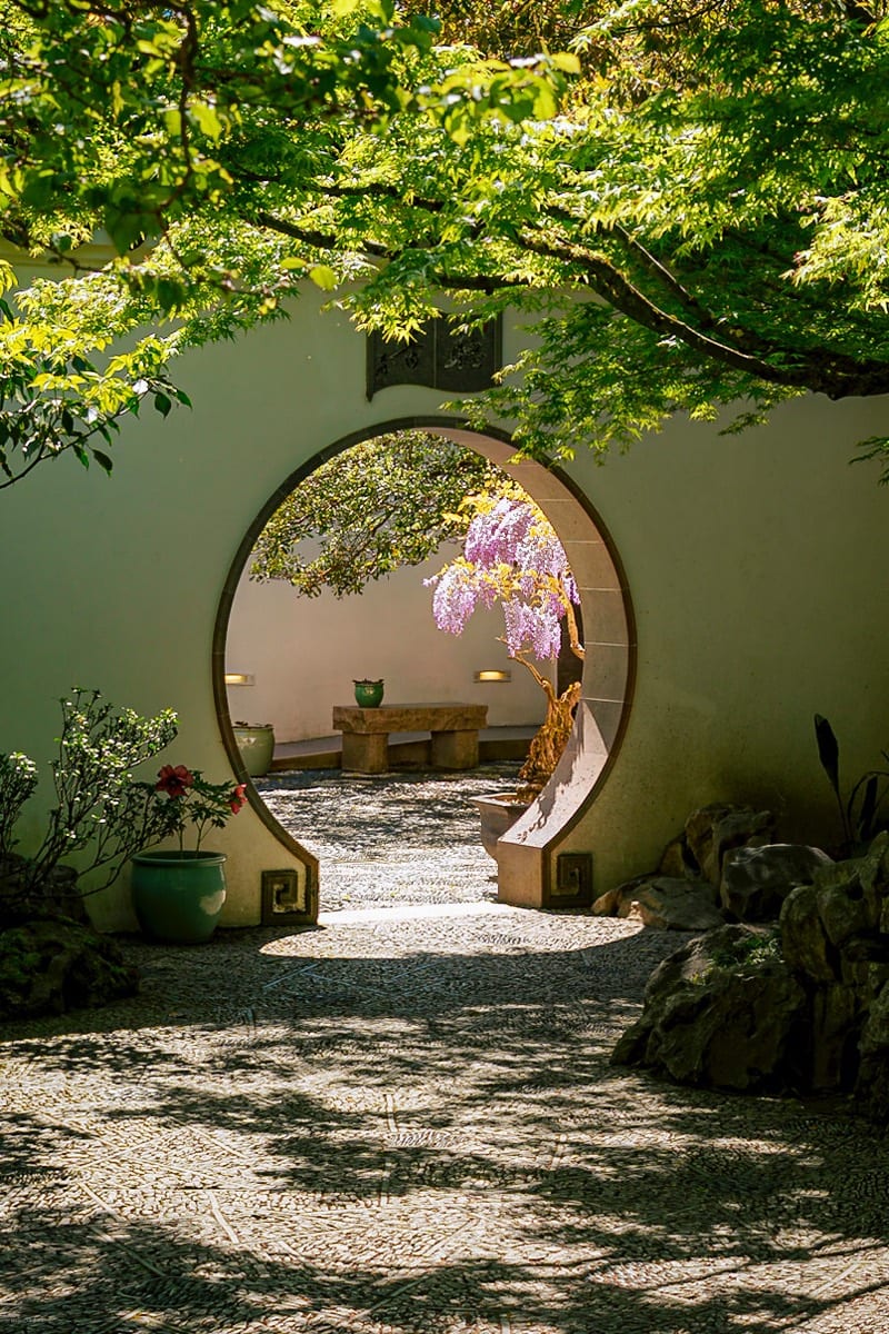 Chinese Tea Garden 9