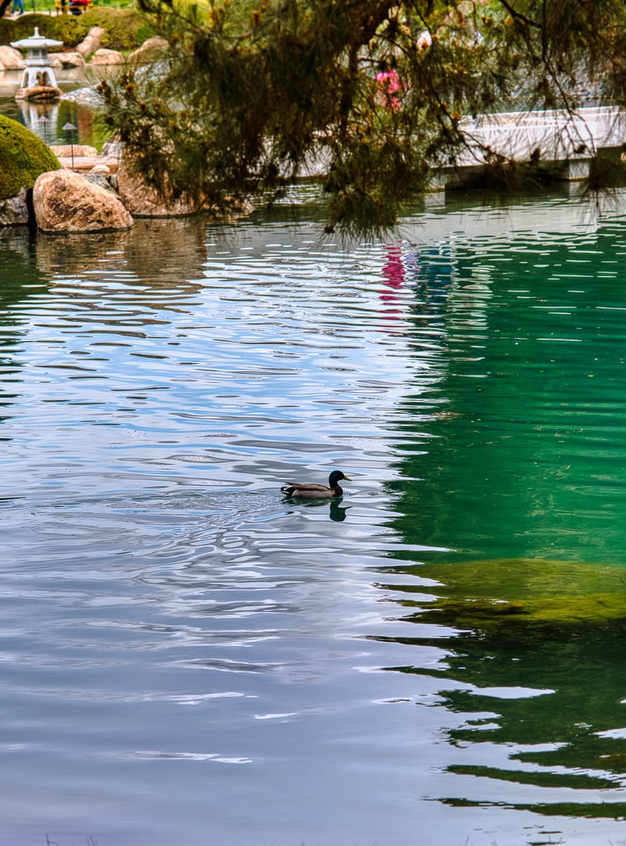 Downtown Phoenix 28