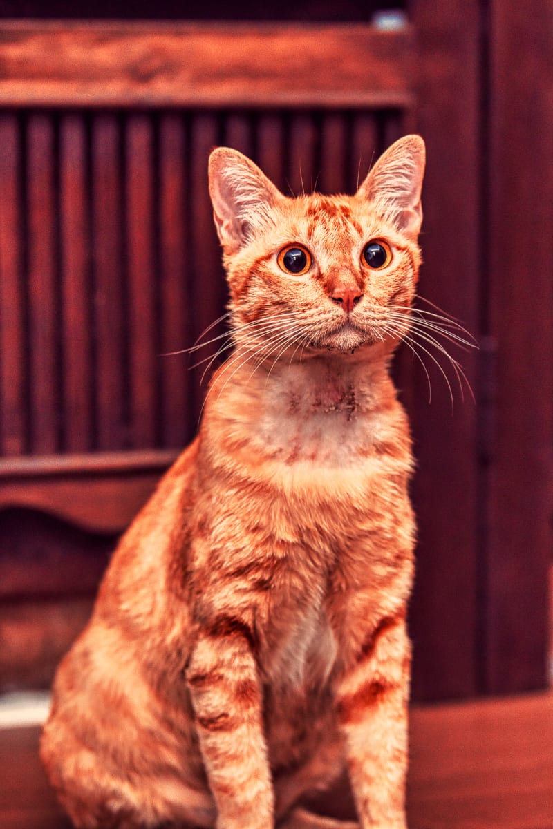 February 103