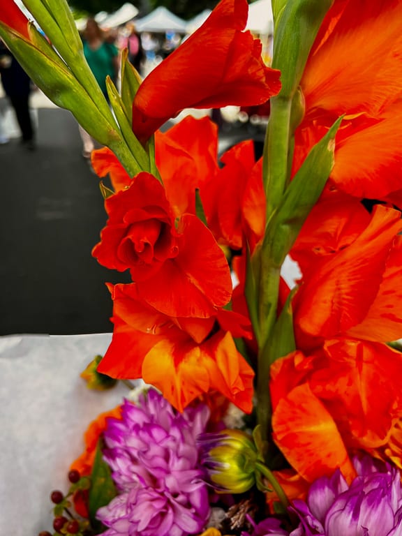 Flowers 26