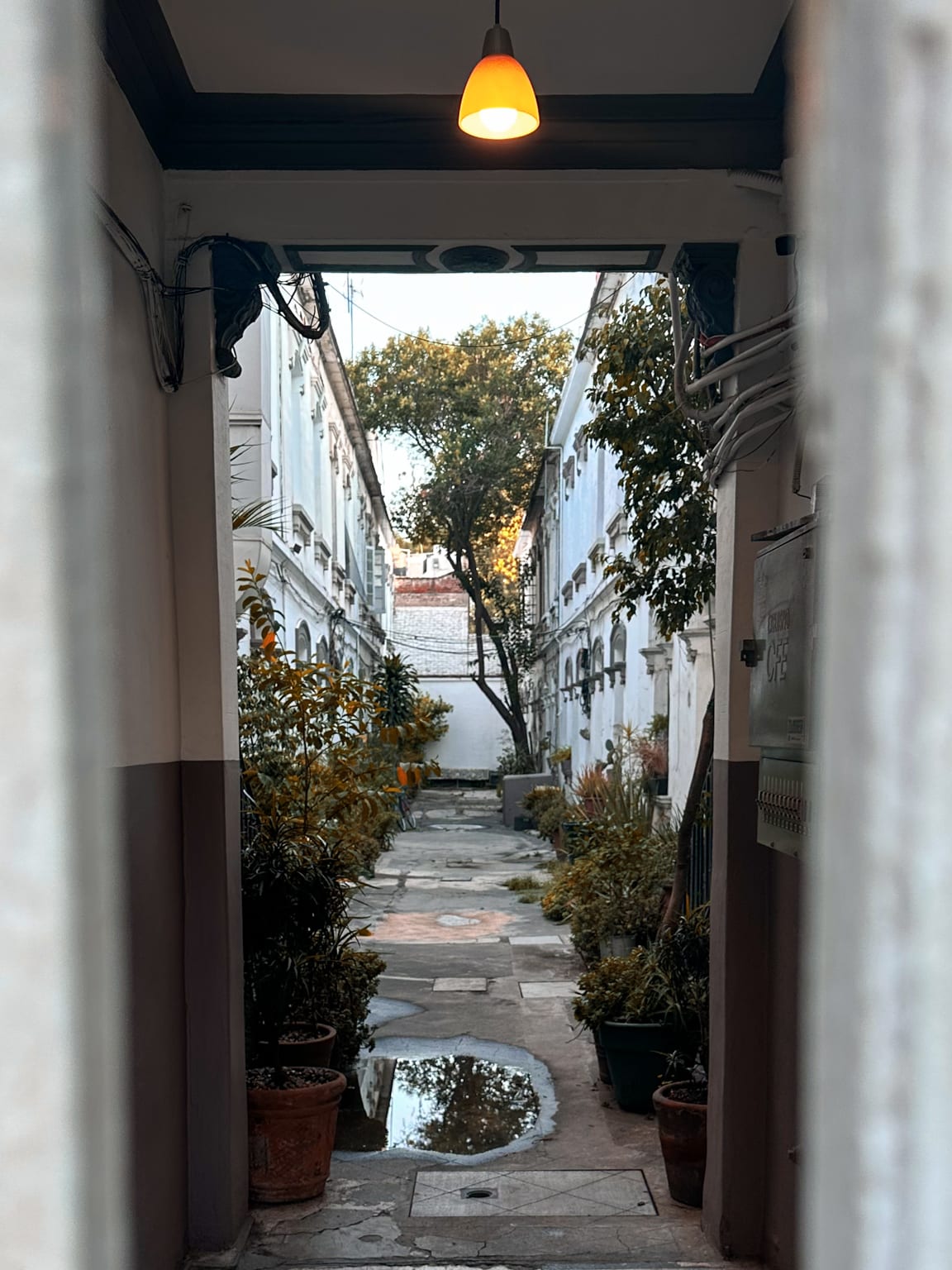 Mexico 12