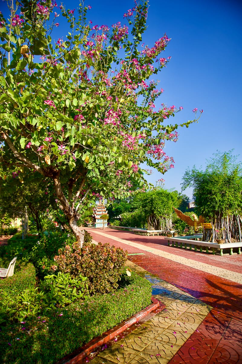 Mueang Kan 29