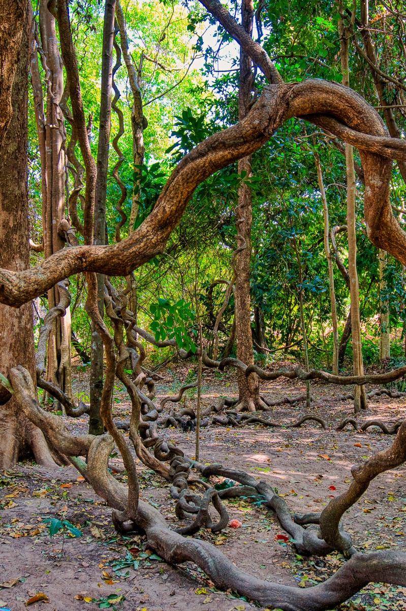Nakhon Phanom 14