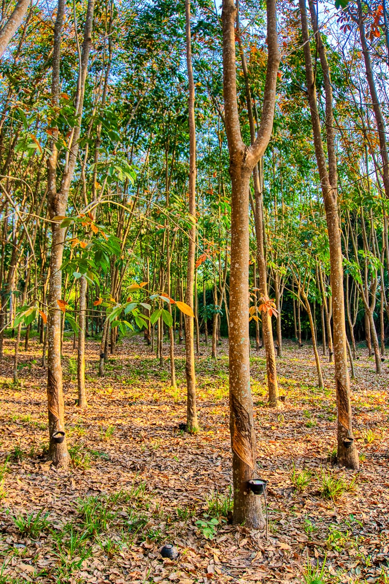 Nakhon Phanom 16