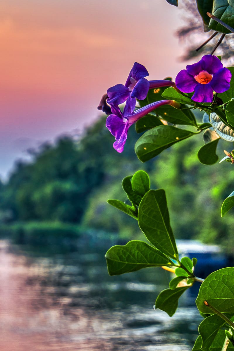 River Kwai 52