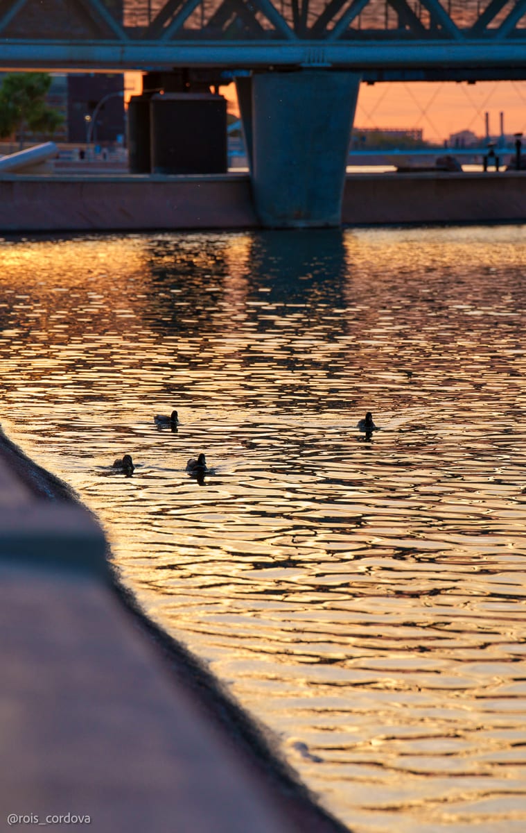 Tempe Town Lake 8